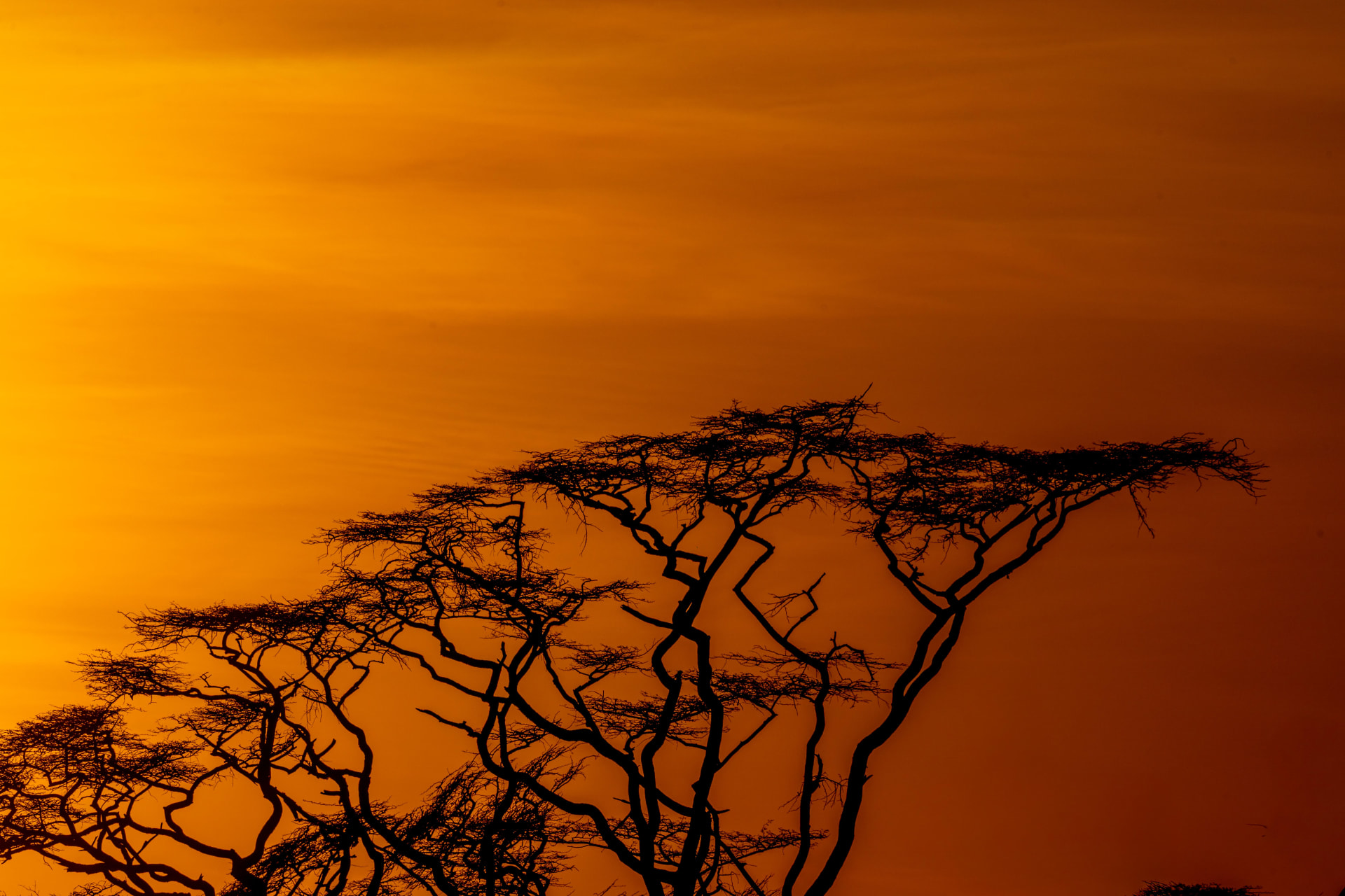 Skeleton Coast, Walvis Bay & Spitzkoppe