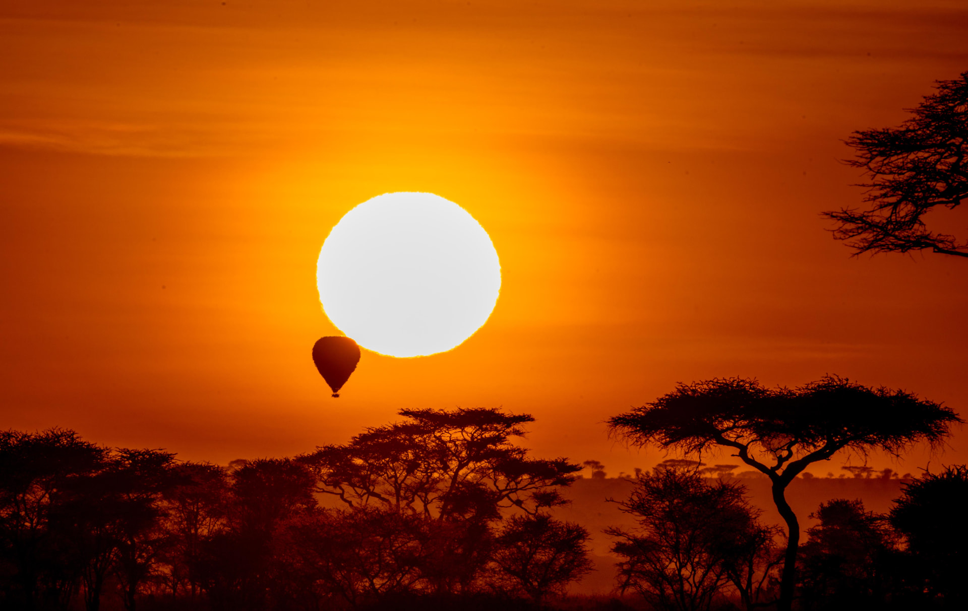 A hot air balloon crossing the sun over the Serengeti at dawn